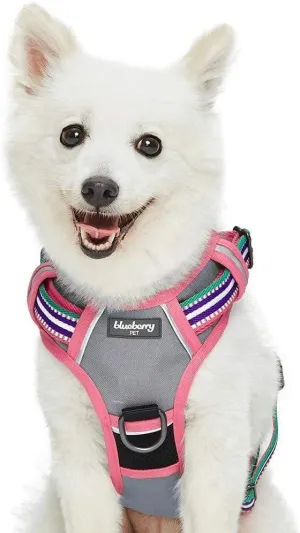 Blueberry Pet Soft & Comfy 3M Reflective Dog Vest - Mesh Padded No Pull Harness with Front & Back Clips - Multi-Colored Stripe Pink, Emerald & Orchid - Reflective for Small Dogs