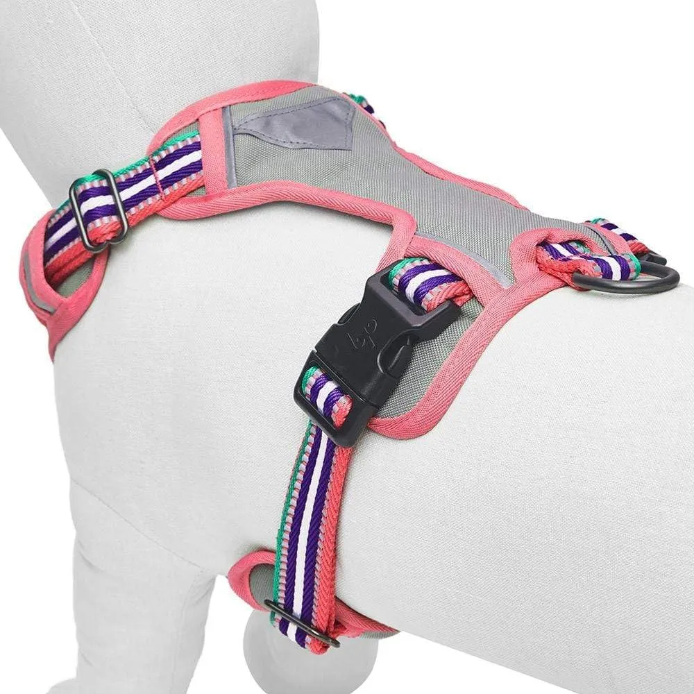 Blueberry Pet Soft & Comfy 3M Reflective Dog Vest - Mesh Padded No Pull Harness with Front & Back Clips - Multi-Colored Stripe Pink, Emerald & Orchid - Reflective for Small Dogs