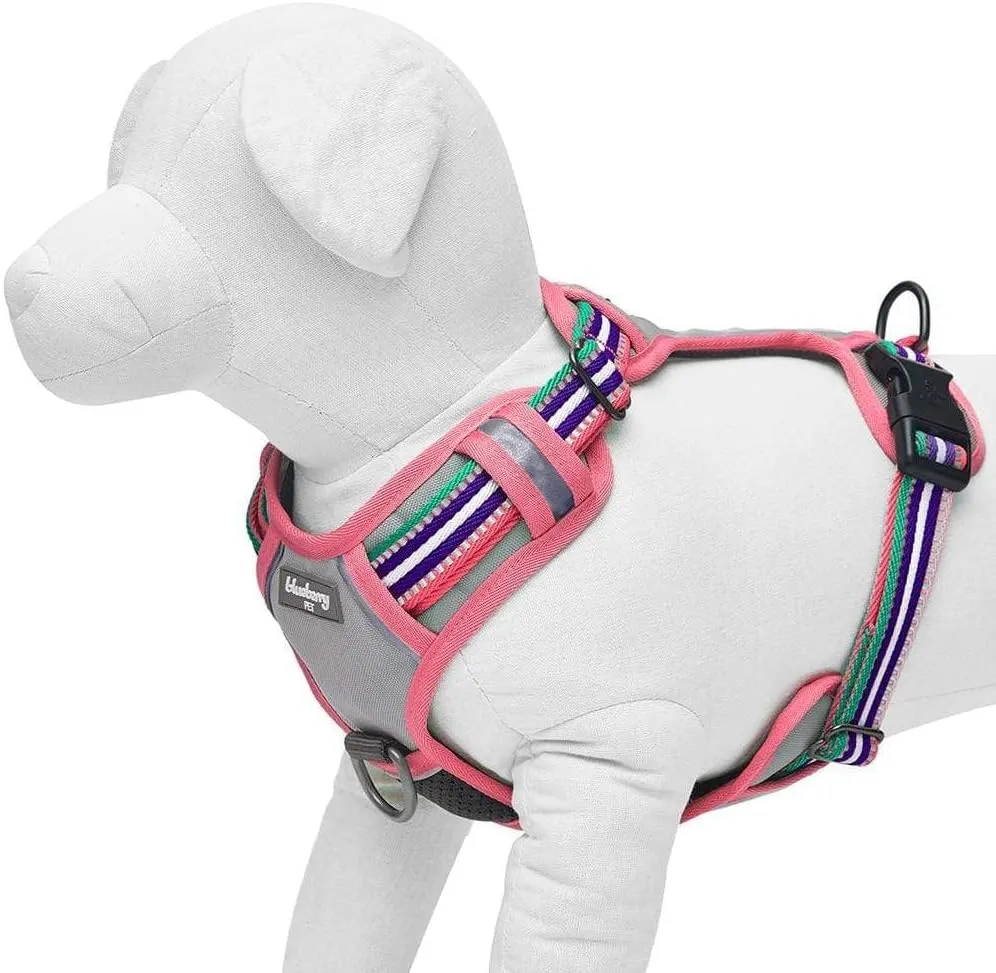 Blueberry Pet Soft & Comfy 3M Reflective Dog Vest - Mesh Padded No Pull Harness with Front & Back Clips - Multi-Colored Stripe Pink, Emerald & Orchid - Reflective for Small Dogs