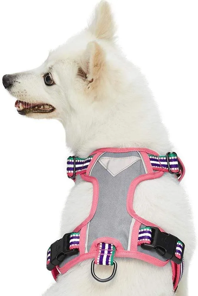 Blueberry Pet Soft & Comfy 3M Reflective Dog Vest - Mesh Padded No Pull Harness with Front & Back Clips - Multi-Colored Stripe Pink, Emerald & Orchid - Reflective for Small Dogs